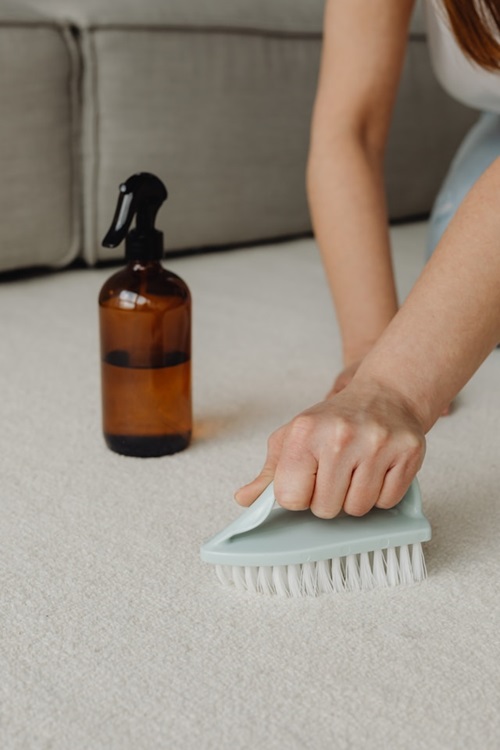 Carpet Cleaning