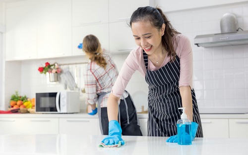 House Cleaning